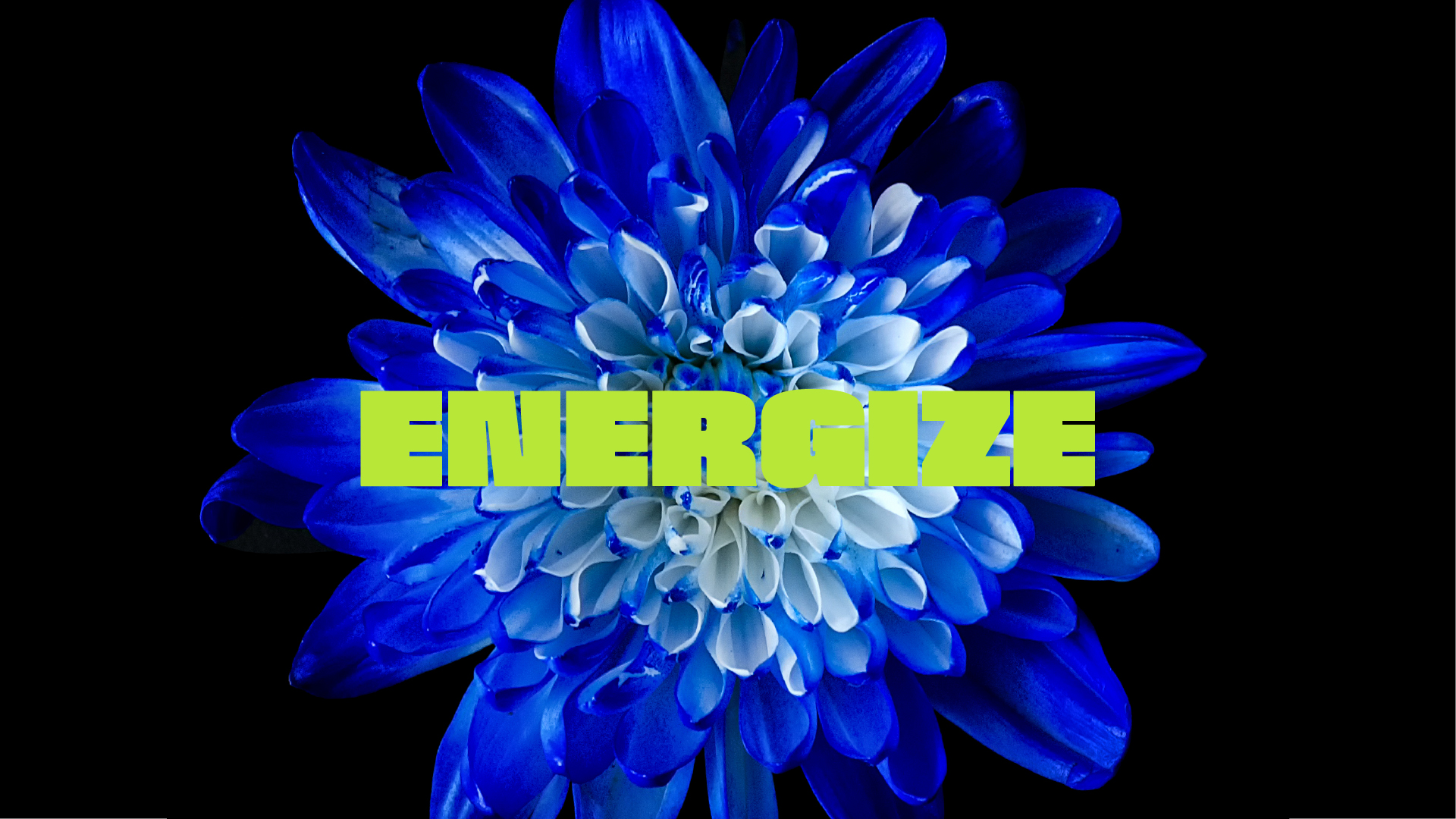 Energize, Bengs - Designed by Futurative